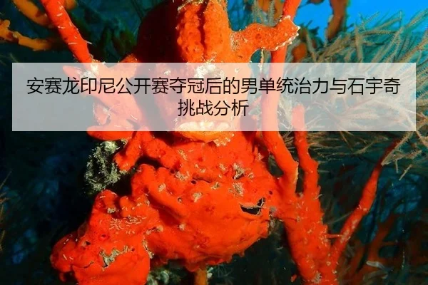 安赛龙印尼公开赛夺冠后的男单统治力与石宇奇挑战分析
