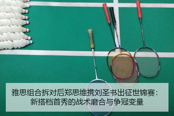 ya-si-zu-he-chai-dui-hou-zheng-si-wei-xie-liu-sheng-shu-chu-zheng-shi-jin-sai-xin-da-dang-shou-xiu-de-zhan-shu-mo-he-yu-3-409.jpg