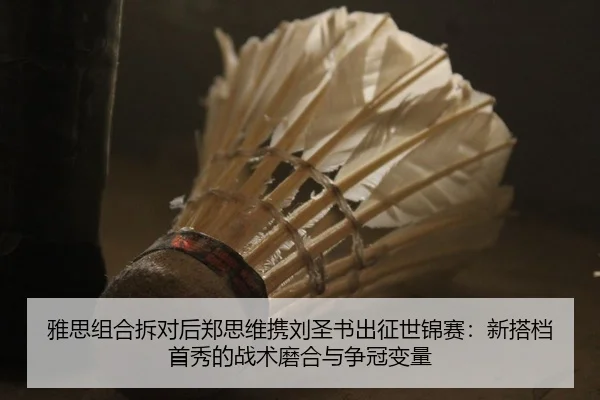 雅思组合拆对后郑思维携刘圣书出征世锦赛：新搭档首秀的战术磨合与争冠变量